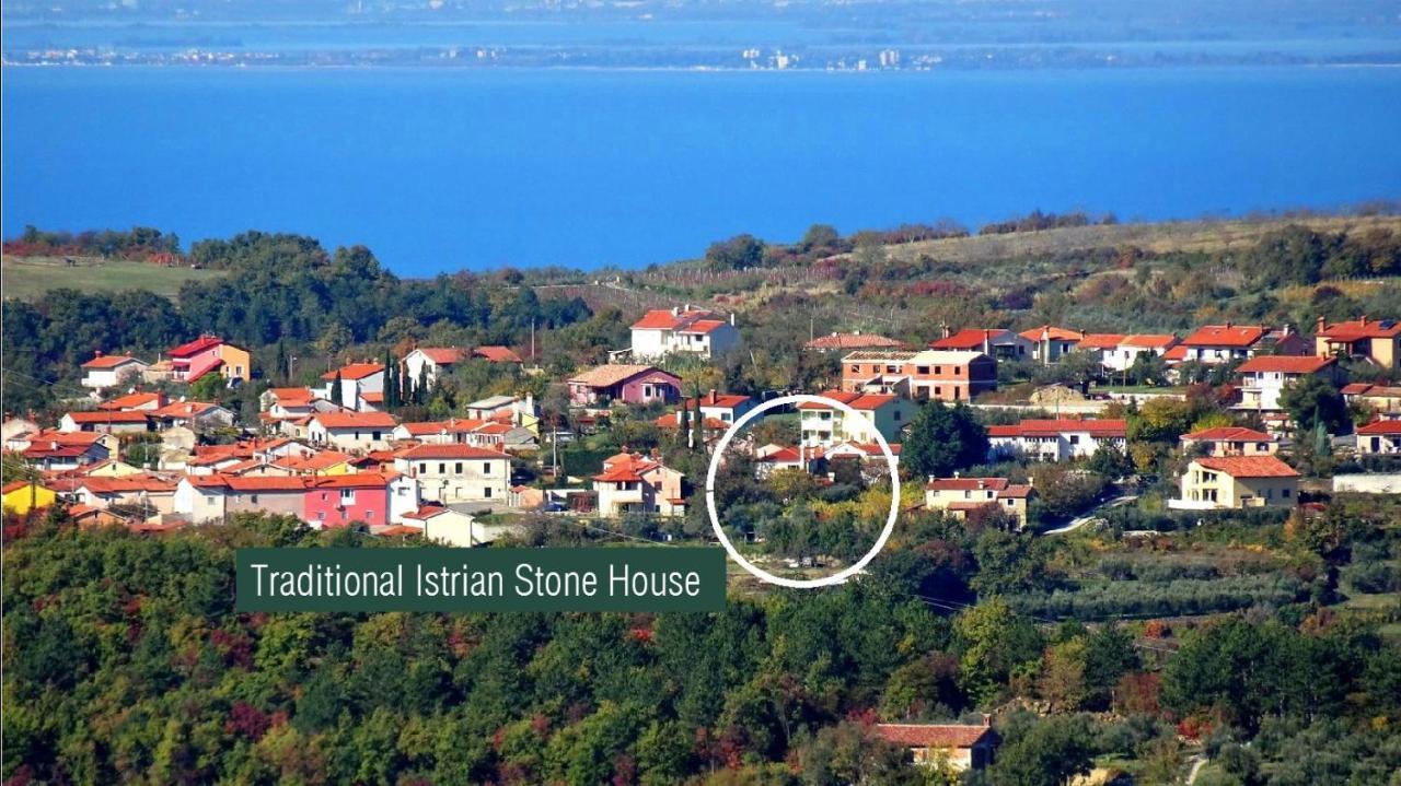 Traditional Istrian Stone House Šmarje 外观 照片