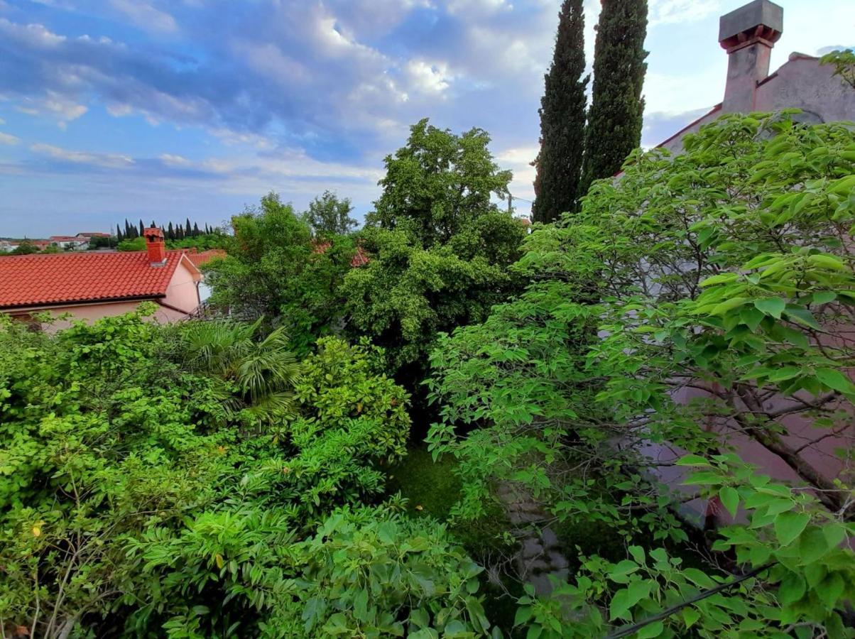 Traditional Istrian Stone House Šmarje 外观 照片