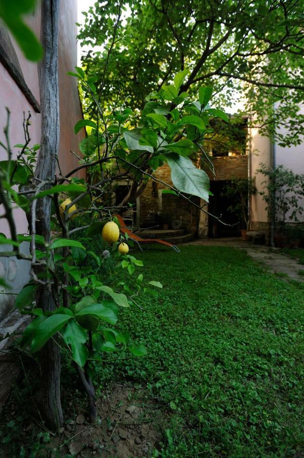 Traditional Istrian Stone House Šmarje 外观 照片
