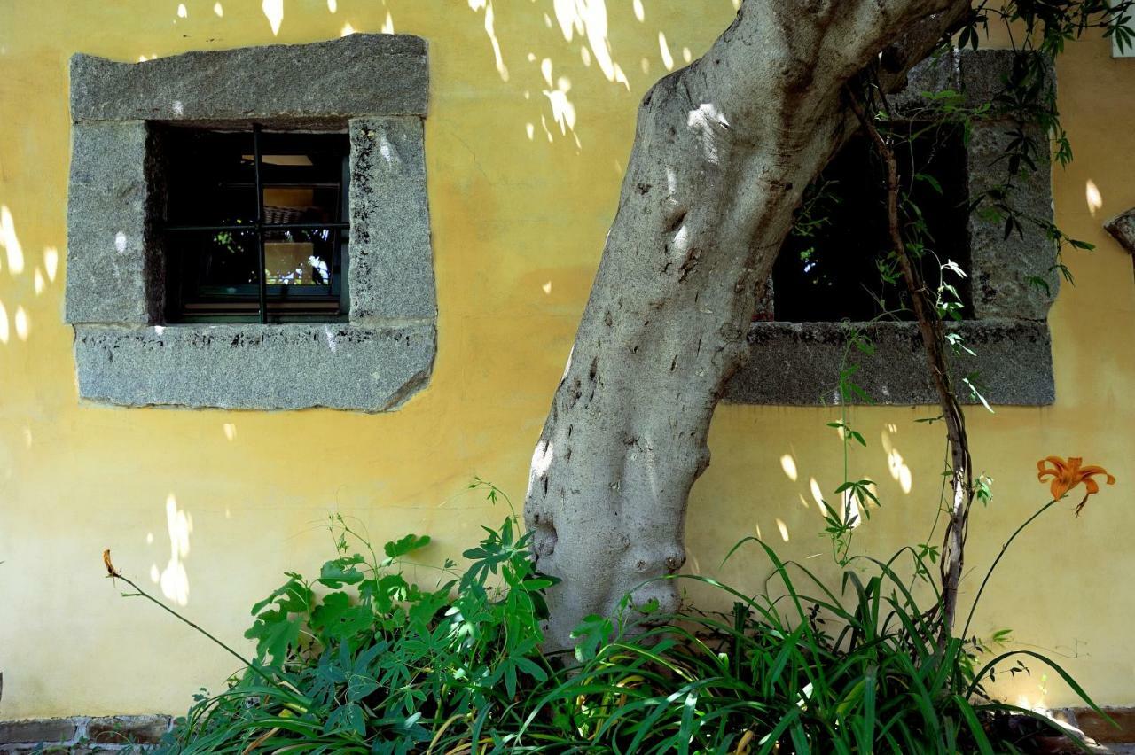 Traditional Istrian Stone House Šmarje 外观 照片