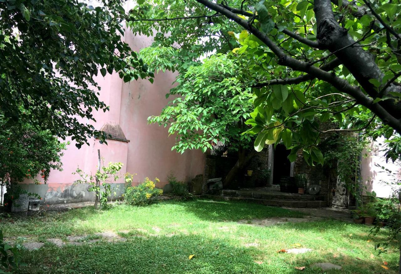 Traditional Istrian Stone House Šmarje 外观 照片