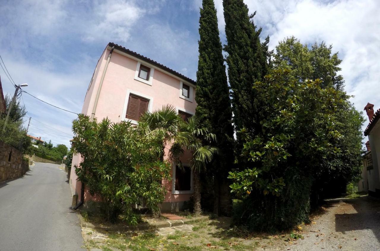 Traditional Istrian Stone House Šmarje 外观 照片